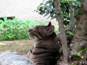 治療後の大事なこと