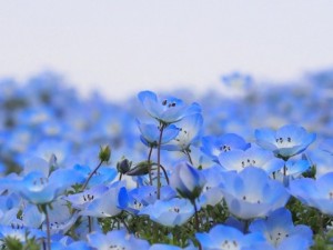 早かった…です！でもまだまだこれからです。